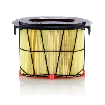 Disponibil imediat Filtru aer C 22 041 Mann Filter